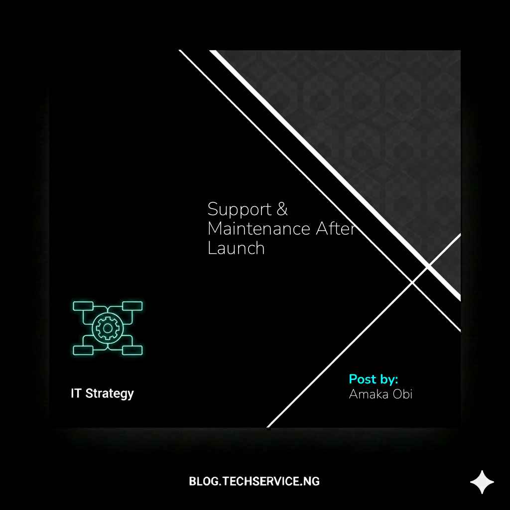 Support & Maintenance After Launch