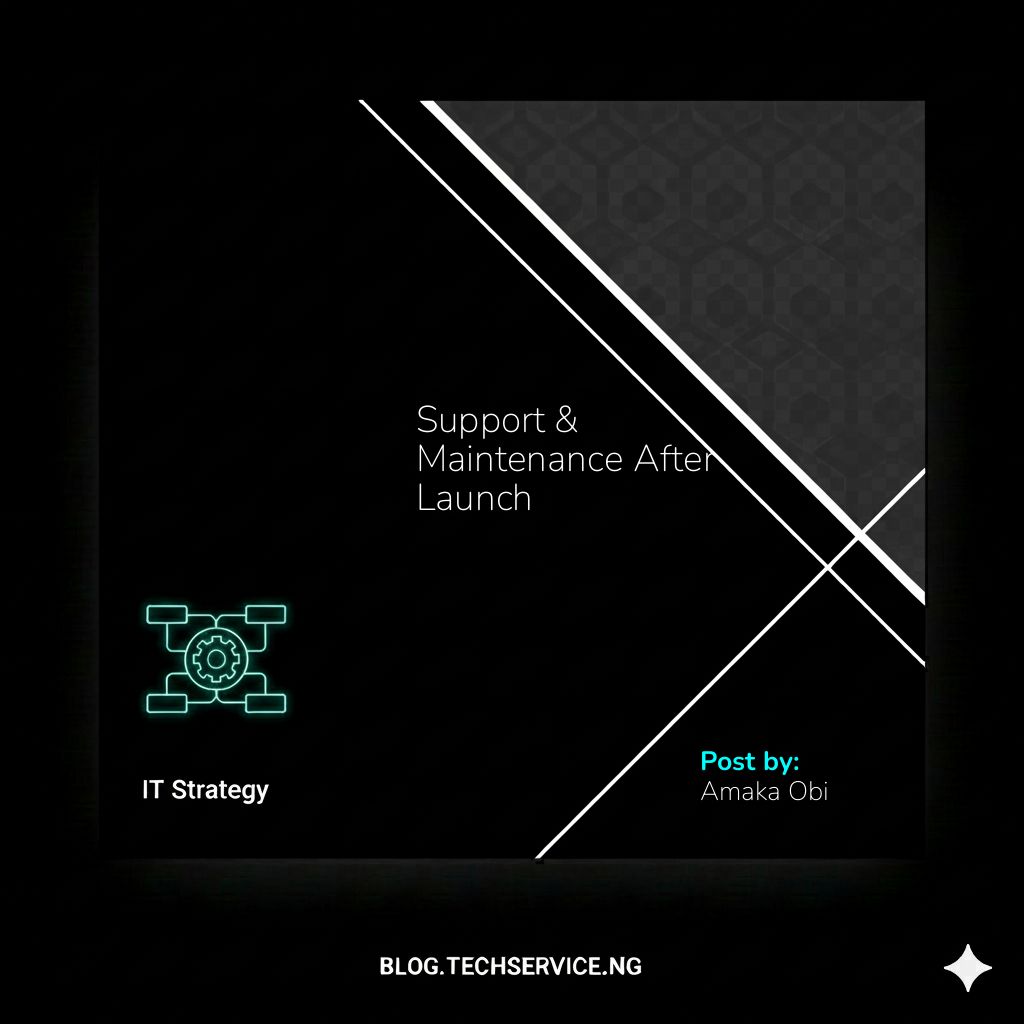 Support & Maintenance After Launch